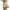Khaki1, variant on Diufon Shorts for Women Elastic High Waist Stretchy Yoga Shorts Workout Running Solid Color Shorts