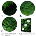 thumbnail image 3 of Designart "Enchantment with Ferns I" Floral & Botanical Floater Framed Canvas Print, 3 of 7
