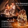 thumbnail image 3 of Fairy Lights ZGWJ Halloween 20 miniLED de 2 m, 24 unidades, color naranja, 3 of 6