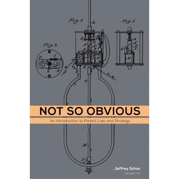 Not So Obvious: An Introduction to Patent Law and Strategy (Paperback)
