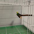thumbnail image 5 of Amdohai Bird Perch Stand Bird Training Stand Bird Playstand Bird Cage Toys, 5 of 5