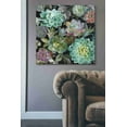 thumbnail image 2 of Epic Graffiti  "Floral Succulents v2 Crop" by Danhui Nai, Giclee Canvas Wall Art - 37" x 37", 2 of 2