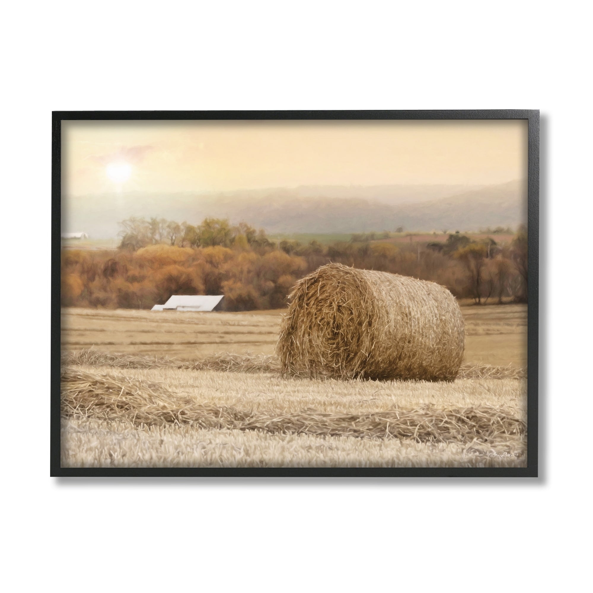 Stupell Industries Rural Haystack Farmland Field Shining Morning Sun Photograph Black Framed Art Print Wall Art, Design by Lori Deiter