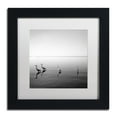 thumbnail image 2 of Trademark Fine Art "4 Herons" Canvas Art by Moises Levy White Matte, Black Frame, 2 of 5