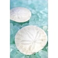 thumbnail image 2 of Crystal Harbor #9, Animals Stretched Canvas Wall Art by Alan Blaustein Sold by Art.Com, 2 of 5