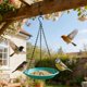 thumbnail image 5 of Comedero Colgante para Colibríes: Comedero Exterior de Agua y Semillas con Recipiente de Plástico, Fácil de Colgar para Jardín, Patio o Terraza., 5 of 6