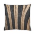 thumbnail image 2 of Ahgly Company Abstract Stripe Pattern Coussin d'Intérieur, 18 Pouces par 18 Pouces, 2 of 6