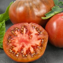 Chef's Choice Purple F1 Hybrid Tomato Seeds - 0.25 Oz ~1700 Seeds - Non-GMO, F1 Hybrid - Vegetable Garden - Lycopersicon esculentum