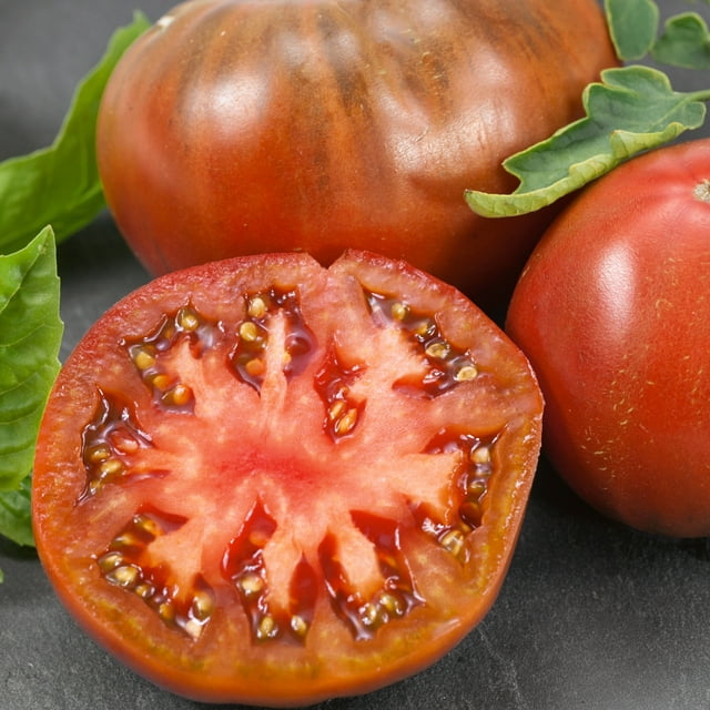 Chef's Choice Purple F1 Hybrid Tomato Seeds - 300 Mg Packet ~70 Seeds - Non-GMO, F1 Hybrid - Vegetable Garden - Lycopersicon esculentum
