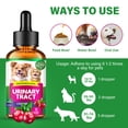 thumbnail image 6 of Urinary Tract Infection Treatment for Cats and Dogs, 60ML,Pet ur-in-a-ry tr-a-ct drops, rich in cranberries, 6 of 9