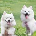 thumbnail image 5 of Reflective Dog Harness and Leash Set Soft Mesh Pet Puppy Cat Comfort Padded Vest No Pull Harnesses, 5 of 8