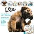 thumbnail image 5 of The Blissful Dog® Boo Boo Butter I All-Purpose Balm for Scratches, Scrapes and Skin Irritations I All Natural I Veterinarian Recommended I 16-Ounce Tin, 5 of 8