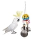 thumbnail image 5 of Juguete De Acero Inoxidable Bird Chew Toys Cockatiel Lovebird ch Jau De Juguete Sunnimix Juguete para masticar loros, 5 of 8