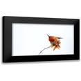 thumbnail image 1 of Chang, Phillip 24x15 Black Modern Framed Museum Art Print Titled - Little bird, 1 of 5