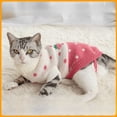 thumbnail image 1 of Ropa para gatos, ropa cálida de invierno para mascotas, suéter de punto, ropa antipelusas y antifrío para gatos y perros, 1 of 5