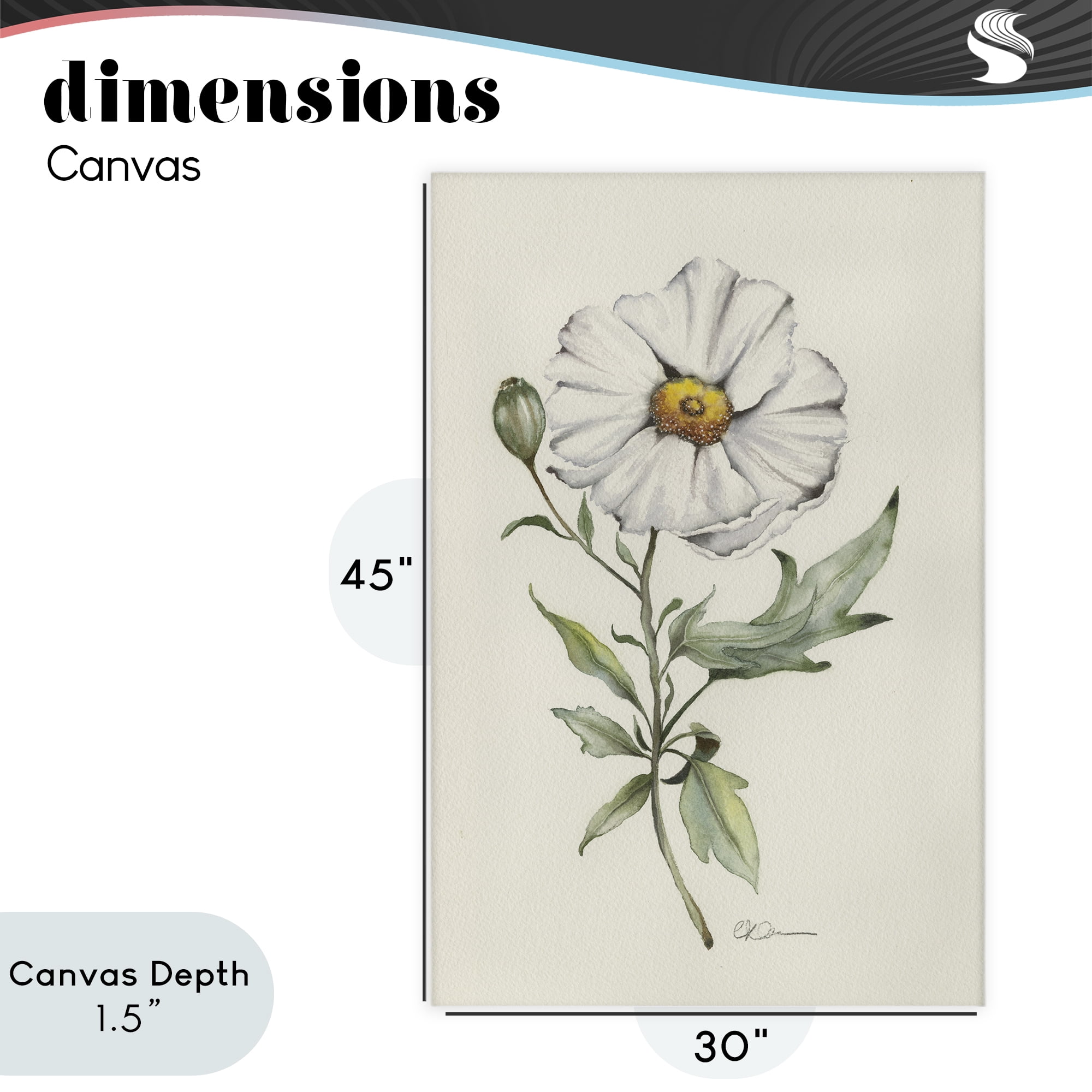 Stupell Industries Natural Wild Blossom Sprig Canvas Wall Art, design by Cady Driver