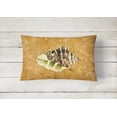 thumbnail image 2 of Carolines Treasures 8658PW1216 Shell Indoor & Outdoor Fabric Decorative Pillow, 2 of 3