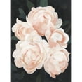 thumbnail image 3 of Scarvey, Emma 19x24 Black Modern Framed Museum Art Print Titled - Nighttime Flora II, 3 of 5