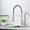 Brushed Nickel - Black Tube, variant on Spring Kitchen Sink Faucet Solid Brass Single Handle Pull Down Sprayer Mixer Tap