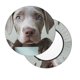 thumbnail image 2 of Disketp Adorable Puppy Portrait Funda Redonda para Taburete, Funda de Cojín para Silla de Bar Suave y Elástica-12 inch, 2 of 7