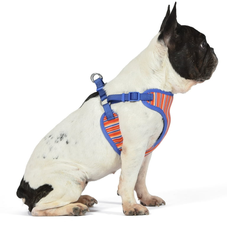 The Dodo Step in Style Pet Harness for Dogs Striped Small Walmart