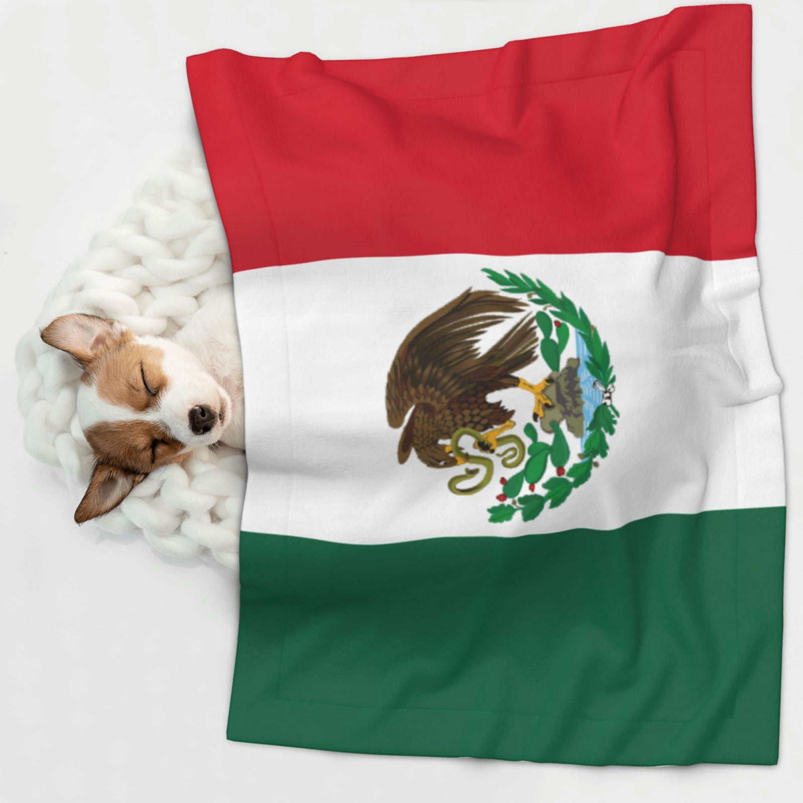 Flannel Throw Dog Blanket Mexico-Flag Soft Warm Print Pet Blankets for Small Dog Cat Puppy