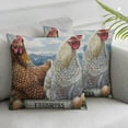 thumbnail image 3 of nygtbtfer Free Range Eggs Pillow Cover - Rustic and Egg Basket Design, Country Kitchen Decorative Cushion for Home, Couch, Bed, Farmhouse Decor White, 3 of 7