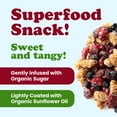 thumbnail image 6 of Organic Delicious Berries Mix, 0.5 Pounds — Non-GMO, Kosher, Raw, Vegan — by Food to Live, 6 of 7