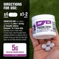thumbnail image 5 of GAT SPORT Creatine Chews, Zero Sugar, 5g Pure Creatine Monohydrate, 3rd Party Tested, Brain Health, Muscle, Strength, Anti-oxidant Support, for Men & Women, 40 Count, 10 Servings (Fruit Punch), 5 of 7