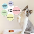thumbnail image 6 of 2Pcs Mini Electric Robot Beetle, Interactive Cat Toy Excites & Entices Cats Cuddling Chasing Fun - style:style4, 6 of 7