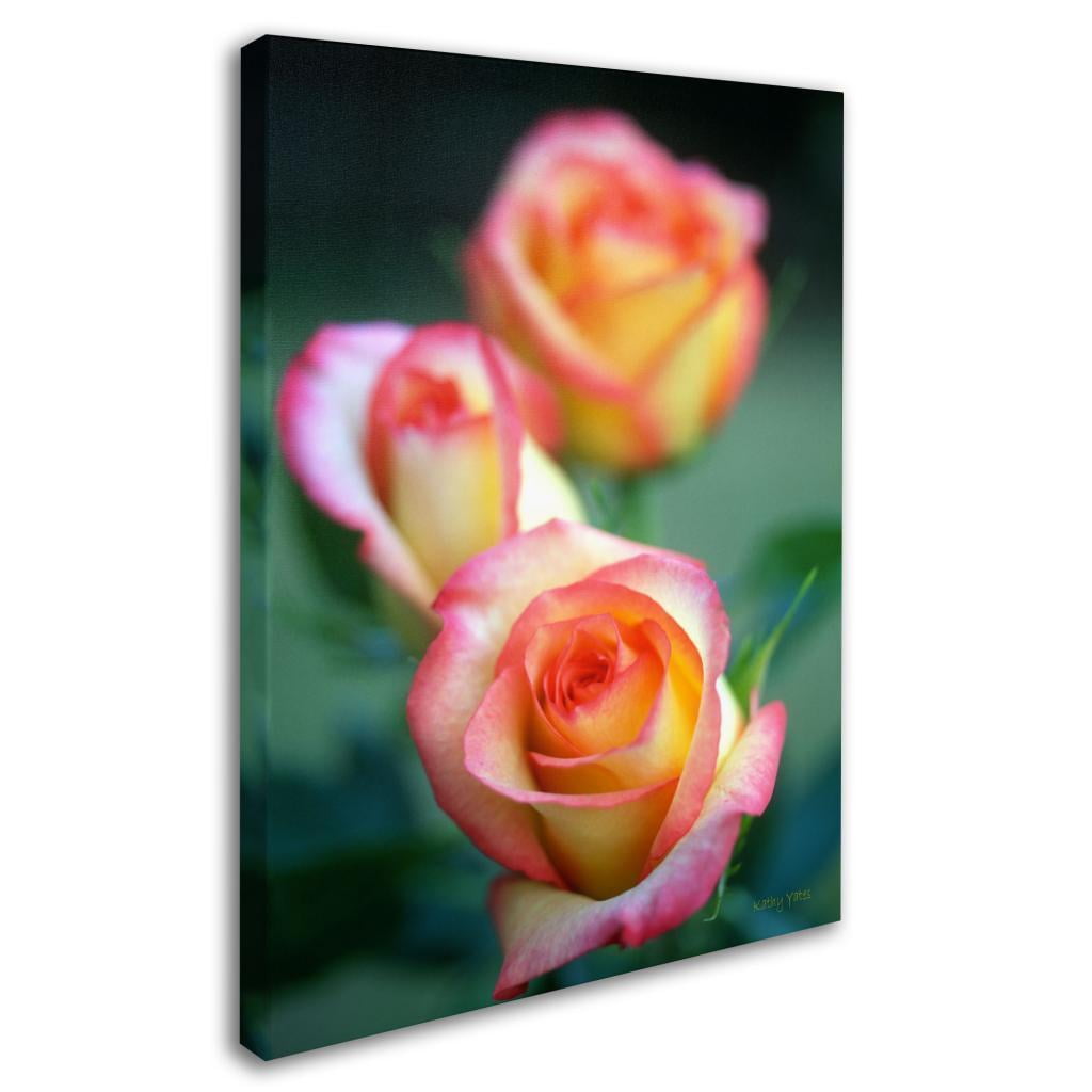 Trademark Fine Art "Rose Trio" Canvas Art by Kathy Yates