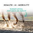 thumbnail image 2 of Manna Pro Sho-Flex Supplement for Horses, Formulated with MSM, Glucosamine, and Chondroitin, 5 lb, 2 of 7