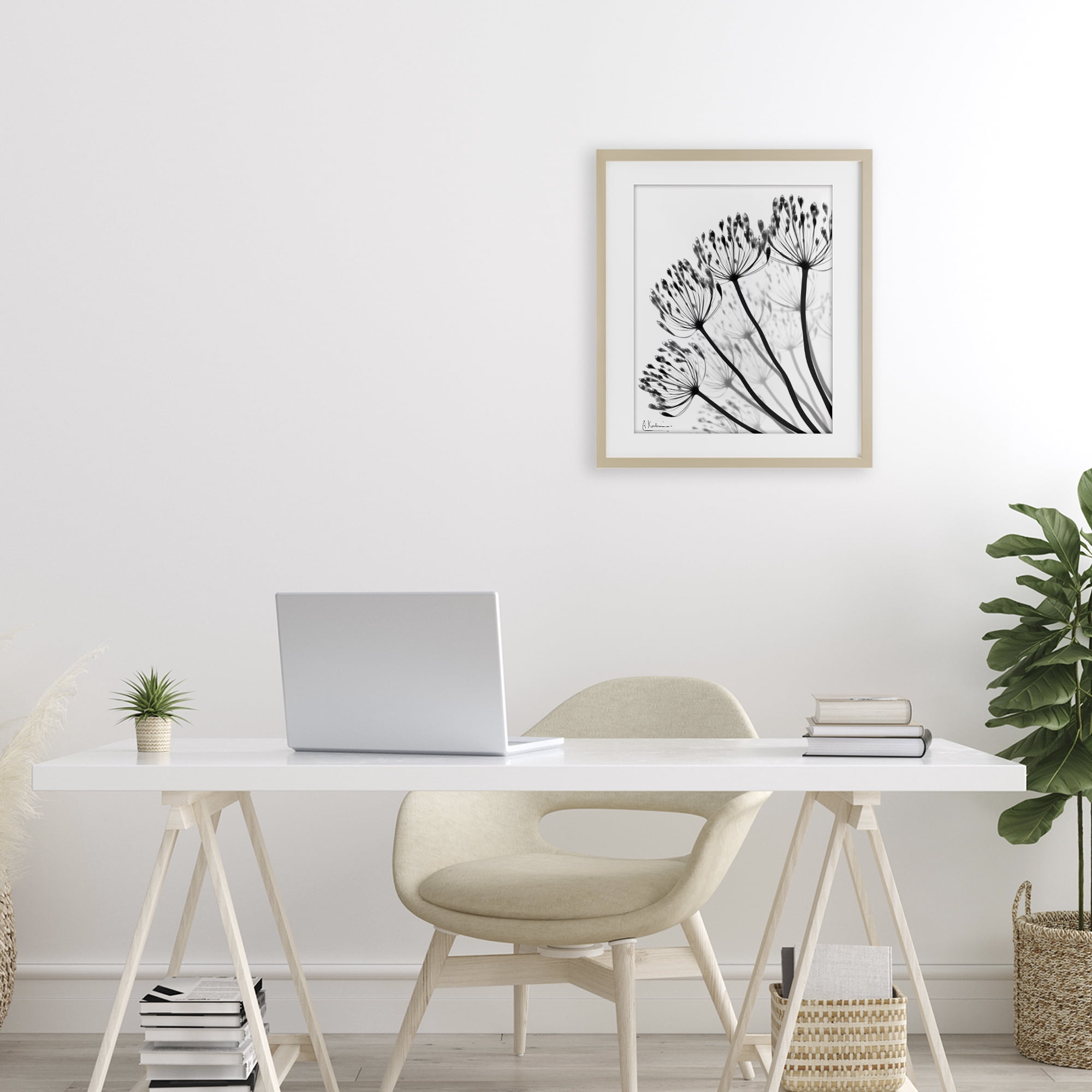Stupell Industries Floral Fan Dandelions Birch Framed Print Under Glass, design by Albert Koetsier