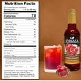 thumbnail image 5 of Syruvia Pomegranate Syrup Pure Cane Coffee Flavoring Syrup, 25.4 fl Oz With Pump, 5 of 6