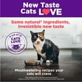 thumbnail image 6 of Wellness Complete Health Dry Cat Food, Salmon & Salmon Meal Recipe, 5lb Bag, 6 of 8