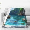 thumbnail image 1 of Balery Tropical Paradise Window View Manta de Felpa Suave y Acogedora – Cobija de Franela Aterciopelada para Cama, Lavable y Cálida para Sofá, Mascotas, Transpirable-60"x50", 1 of 7