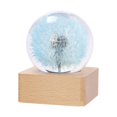 thumbnail image 1 of LUVCLS Lámpara de noche con forma de bola de cristal y flores, lámpara de noche con forma de bola de cristal y base de madera, regalos decorativos para hombres, mujeres, niños, niñas y niños., 1 of 7