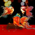 thumbnail image 3 of Trayknick Lantern Material DIY Kit - Goldfish Lantern Set for Traditional Chinese Lantern Making in Mid-Autumn Spring Festivals, 3 of 7