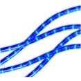 thumbnail image 1 of Indoor/Outdoor Incandescent Round Rope Light - Blue, 15', 1 of 1