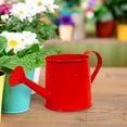 thumbnail image 1 of Ohmyroo Small Watering Can With Handle For Indoor Plants Garden Home Use, 1 of 5