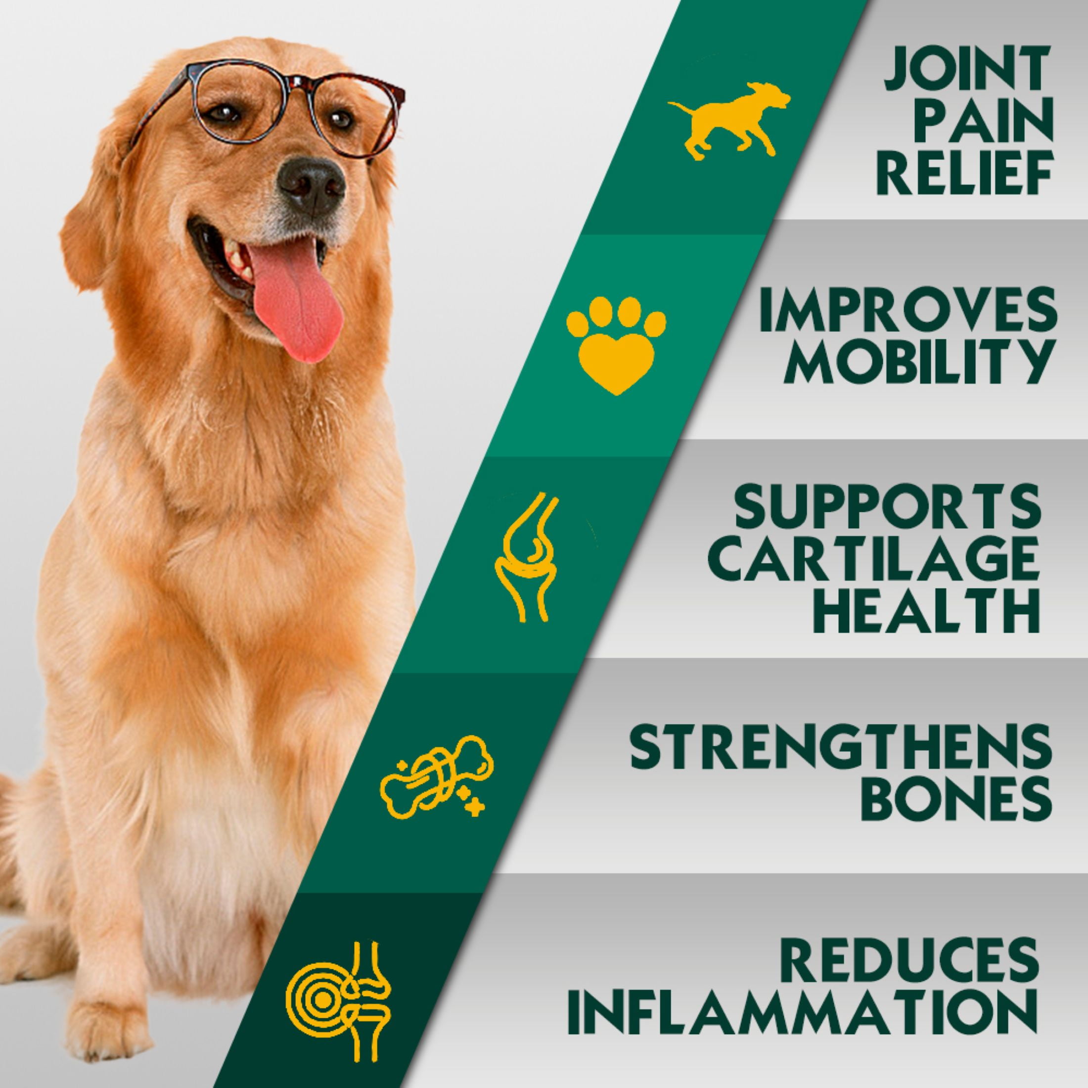 PetriMins Advanced Hip & Joint Chewable Supplement for Dogs, Bacon Flavor, 90 Count