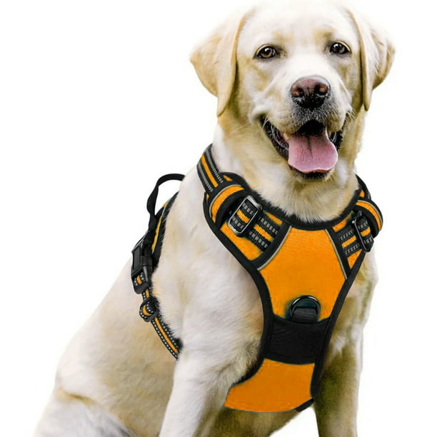 Correa para perro, pecho para mascota, correa de nailon para perro, correa para el pecho para perro grande, suministros para mascotas