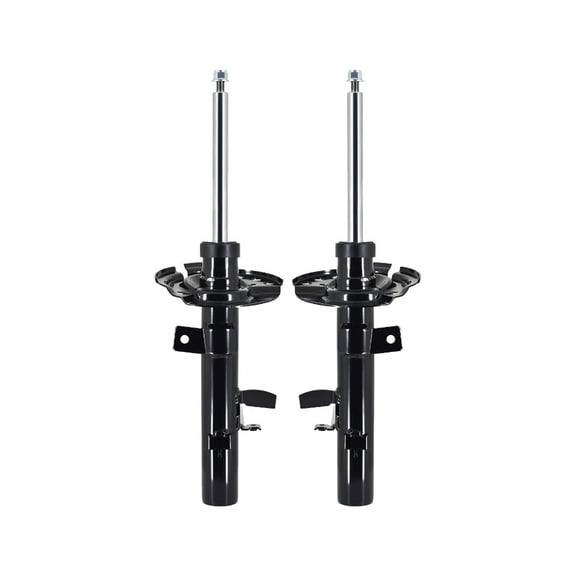 Pair of 2 Front L-R Suspension Strut Assembly For 2014-2019 Ford Escape