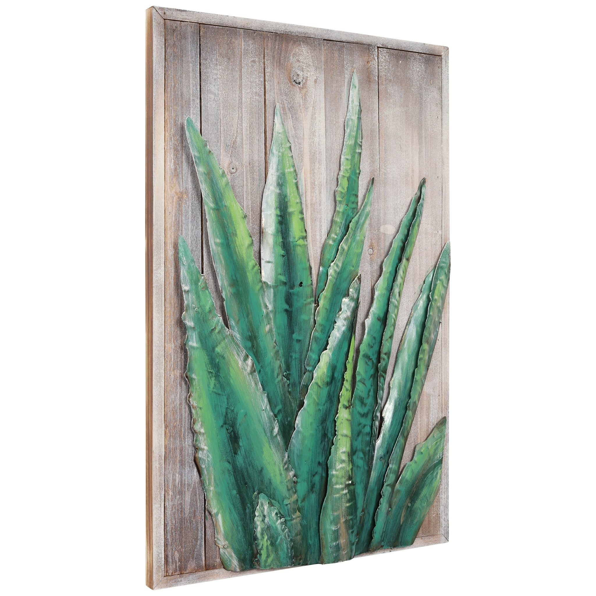 Empire Art Direct "Succulent" Mixed Media Iron Hand Painted Dimensional Wall Art