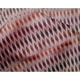 thumbnail image 4 of Tissu Tabby en Soie de Pomme Tissu Imprimé 1 Yard 42 Inch Wide, 4 of 4