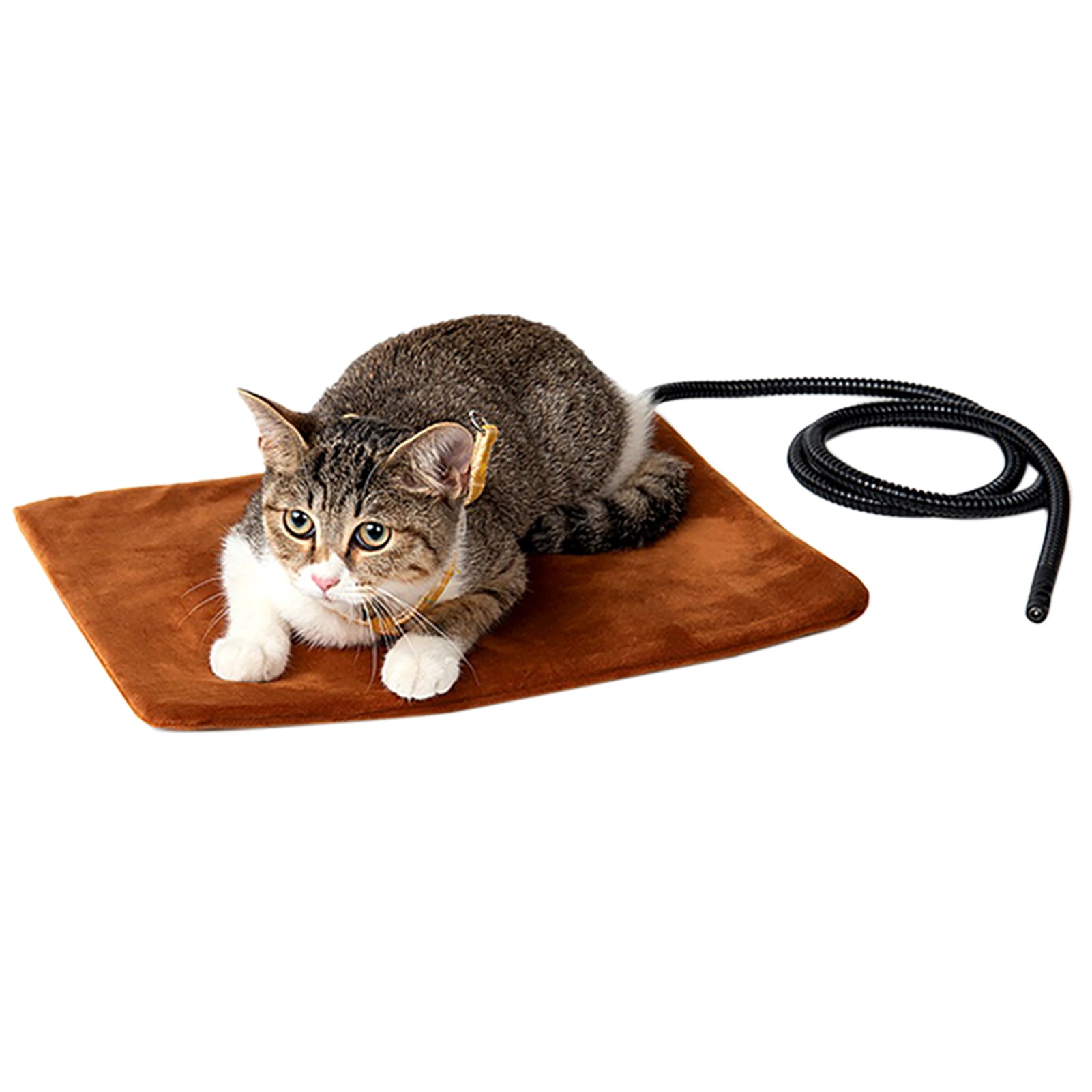 A C 100 240 V Pet Heating Mat Electric Heating Pad Warming Mat Waterproof Design For Cat Dog Home Daily Use Walmart Com