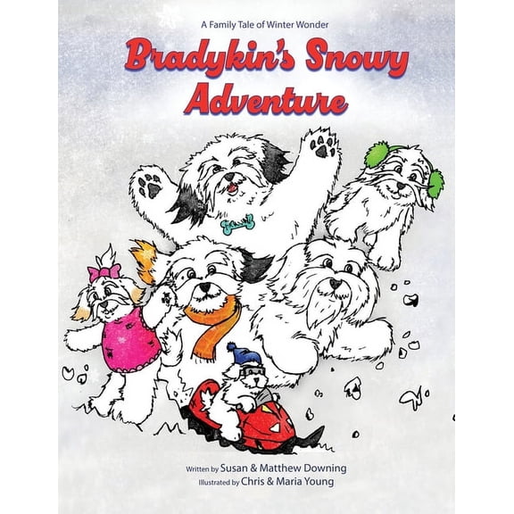 Bradykin Bradykin's Snowy Adventure: A Family Tale of Winter Wonder, Book 5, (Paperback)