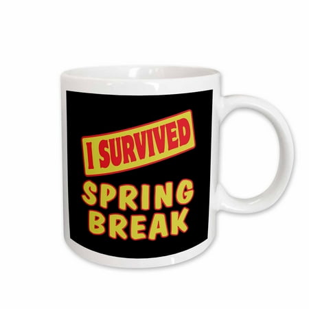 

I Survived Spring Break Survial Pride And Humor Design 15oz Mug mug-118257-2
