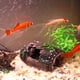 thumbnail image 3 of Decoración de acuario, accesorios de resina para acuario, adornos acuáticos para camarones pequeños, peces y tortugas., 3 of 8