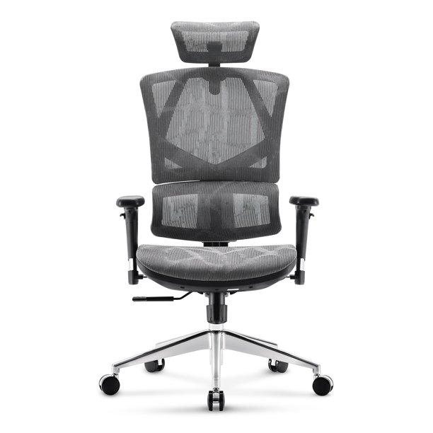 SIHOO Ergonomic Office High Back Mesh Chair with Adjustable Lumbar